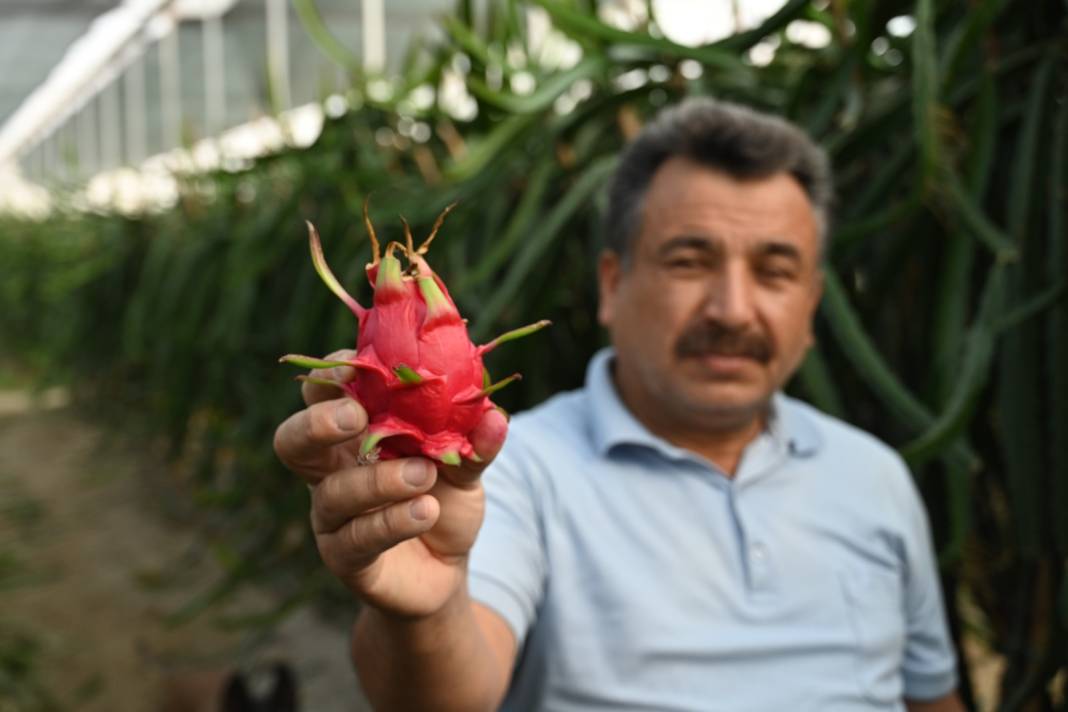 Ekildikten sonra 3 yıl ürün vermiyor. 3 ton topladığı ilk hasadı seneye 10 tona çıkacak 4